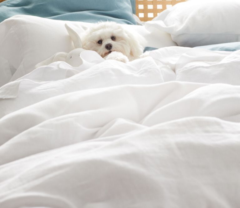 Science-Based Tips for Better Sleep